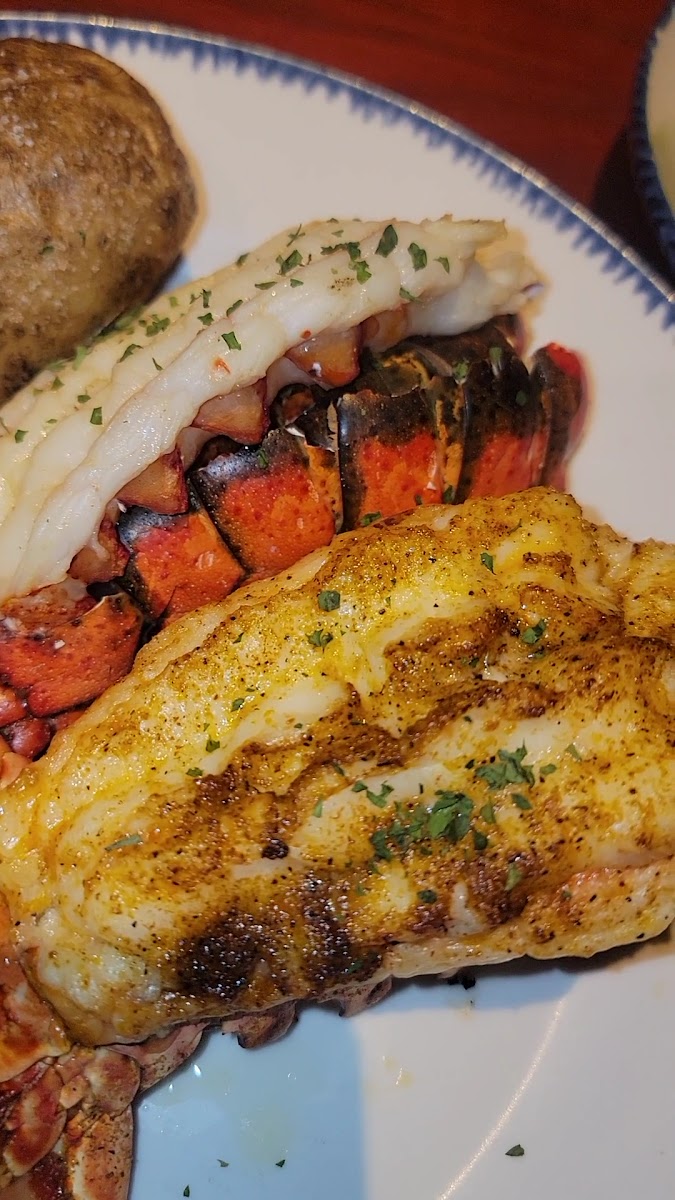 Red Lobster Photo 2